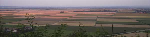 Blick vom Frohberg auf Felder im Abendrot