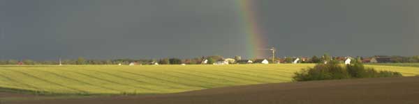 Rapsfeld mit Regenbogen